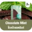 น้ำยาบุหรี่ไฟฟ้า Ks Lumina Pod กลิ่น Chocolate Mint (ซ็อคโกแลตมินท์)